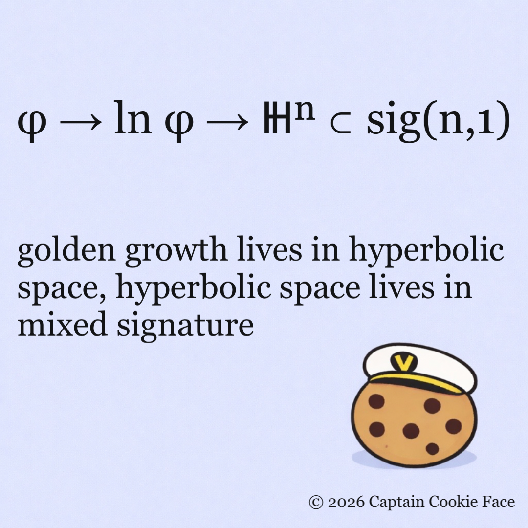The Hyperbolic Embedding